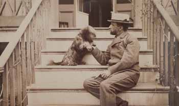 Henry Adams seated with dog on steps of piazza Photograph