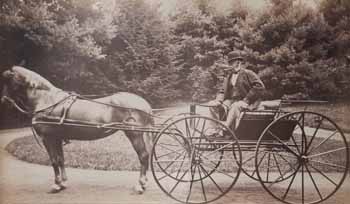 Robert W. Hooper in wagon pulled by horse Photograph