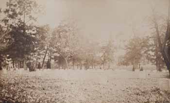 View of Arlington National Cemetery Photograph